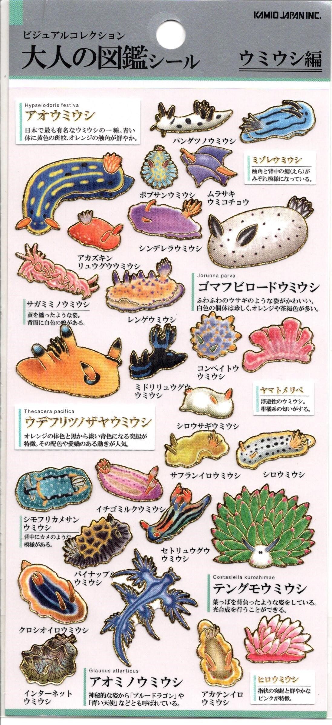 Urko Añorga Recarte